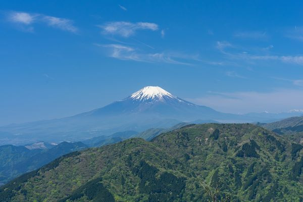 大山から望む富士山