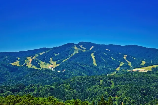 大日ヶ岳 夏の大日ヶ岳
