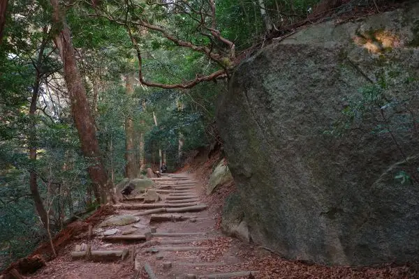 猿投山登山道