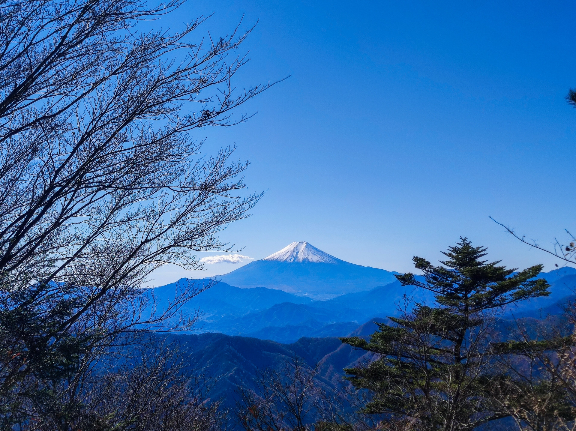 鞍掛山 (くらかけやま)：248m - 山と溪谷オンライン