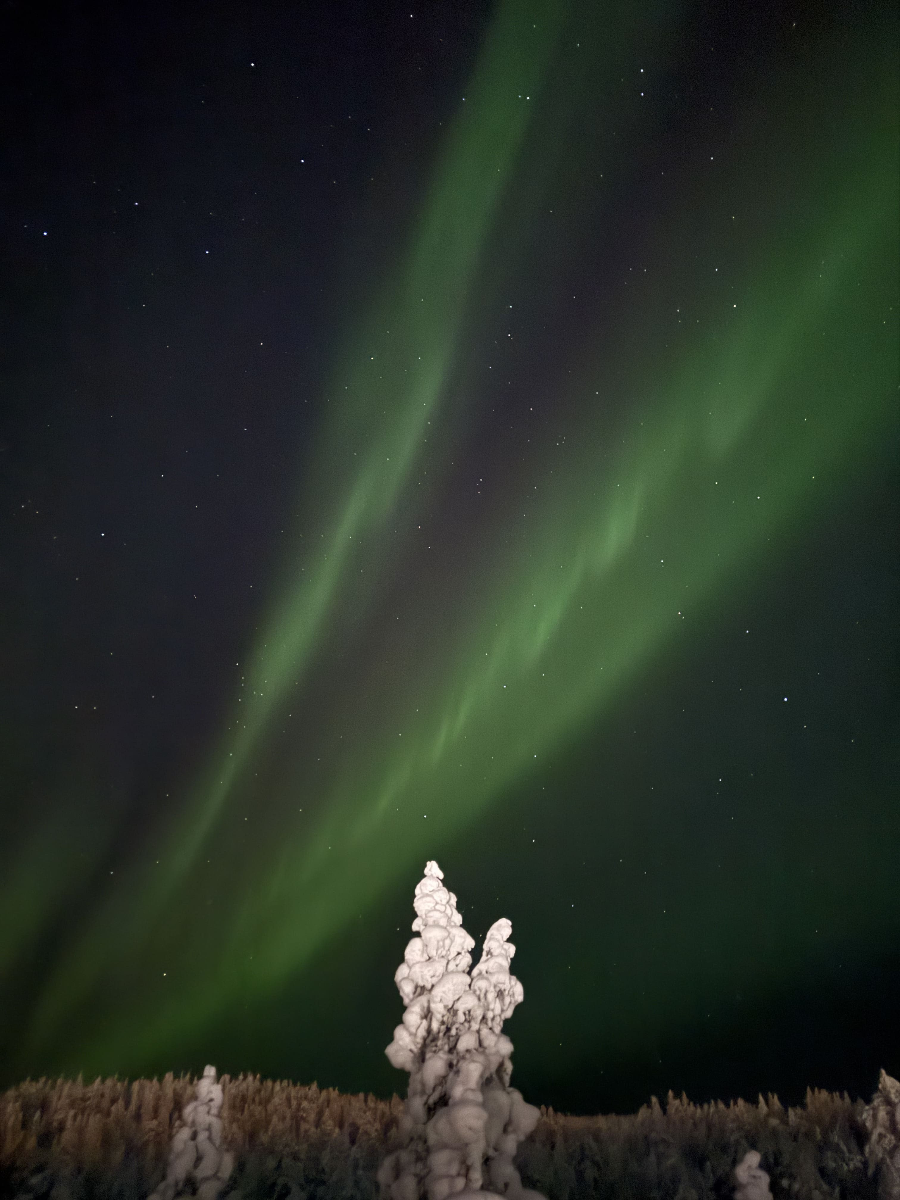ホテルの近くから見れたオーロラ（感動！！）