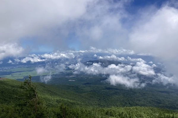 30分も登るともうこんな景色！