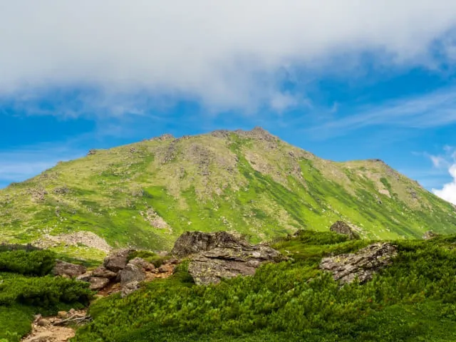 油絵「ニセイカウシュペ山」 ニセイカウシュッペ山 (にせいかうしゅっ