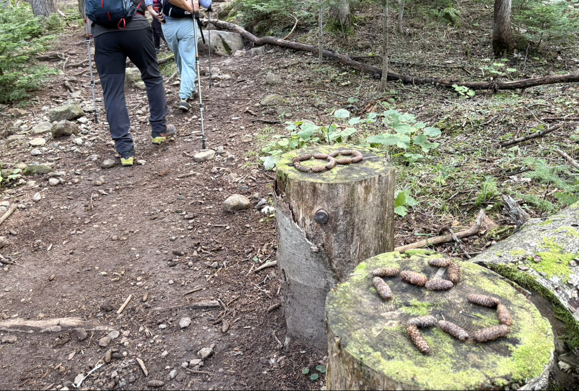 雌阿寒岳登山口