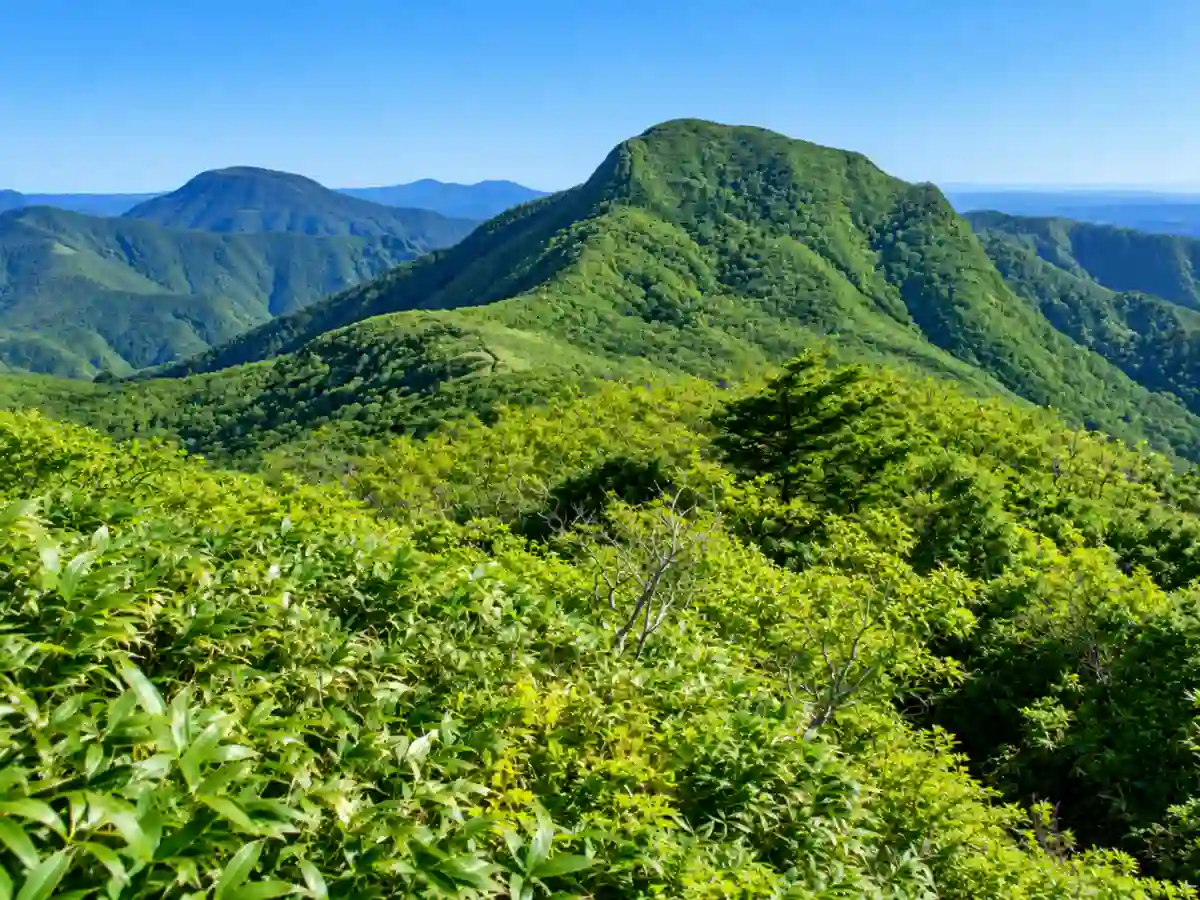 大東岳