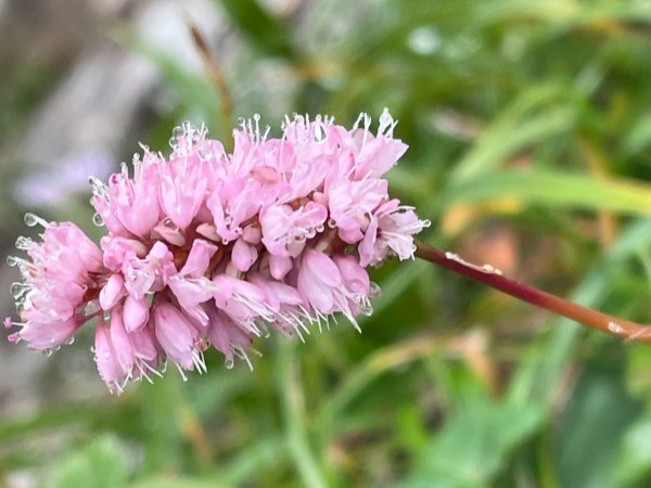 準備ができた人から出発！