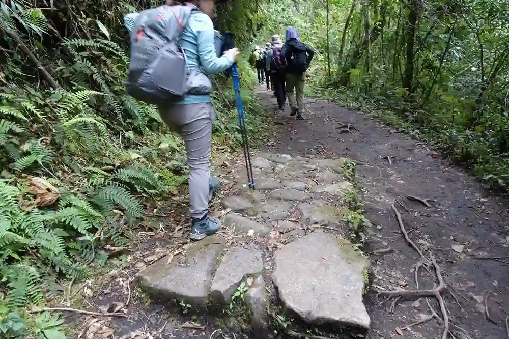 石畳は古道の一部