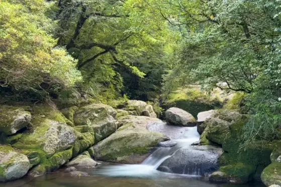 shiratani unsuikyo_creek