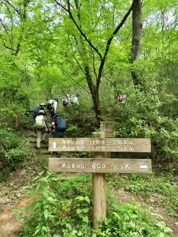 登り道