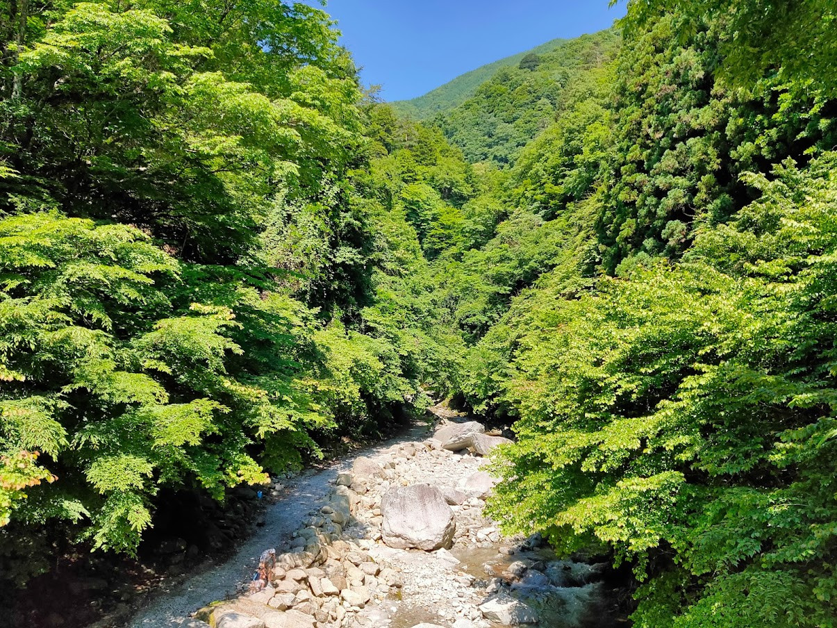 尾白川渓谷の緑が眩しい。