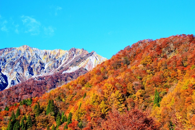 伯耆大山