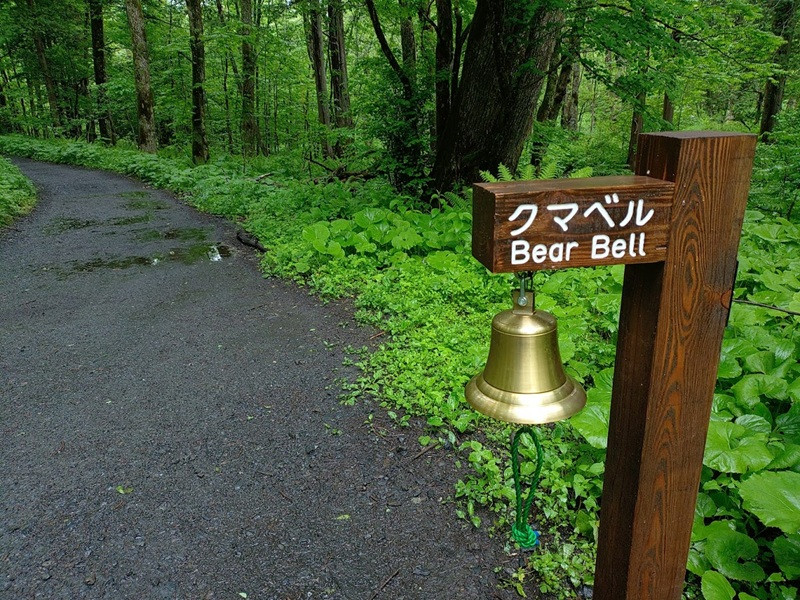 上高地左岸道に設置されているクマベル