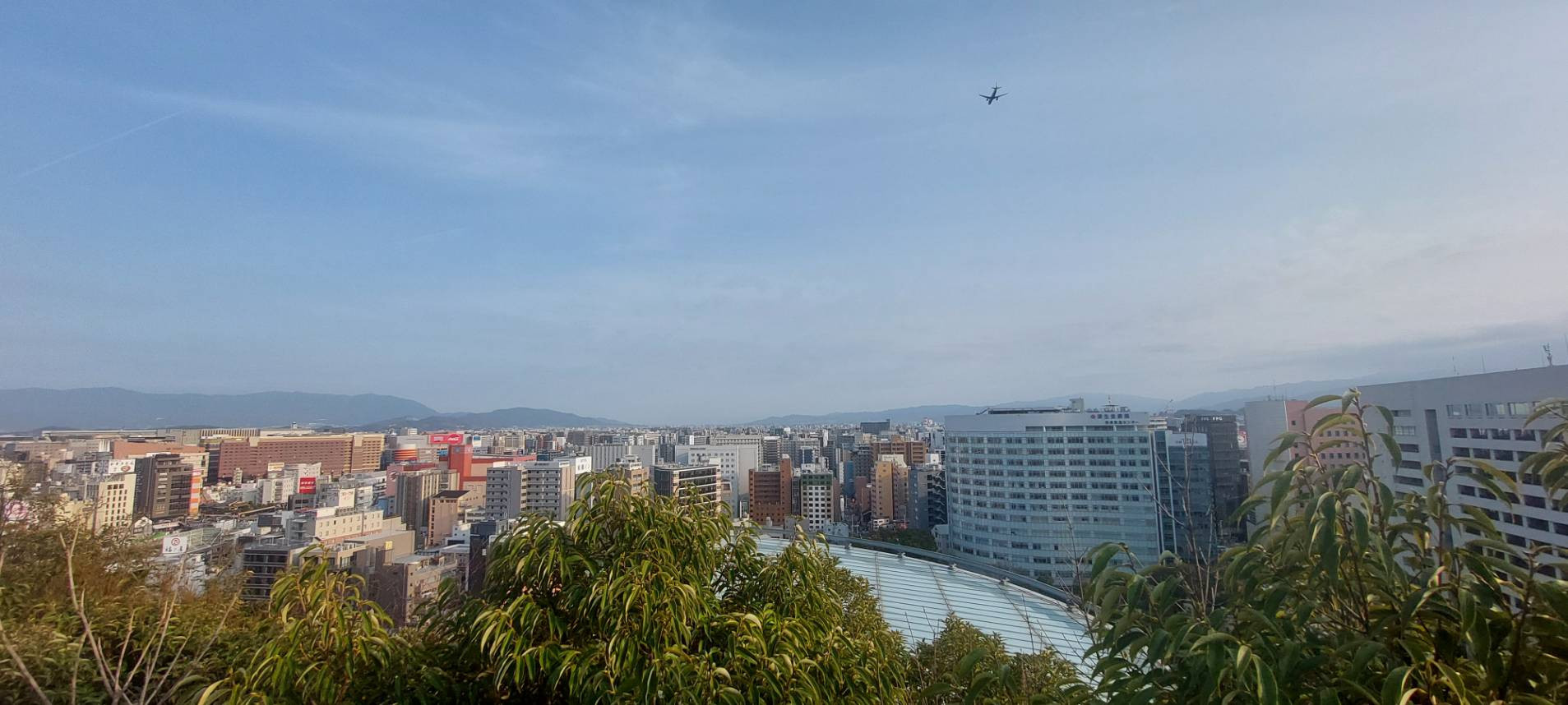 アクロス山山頂より