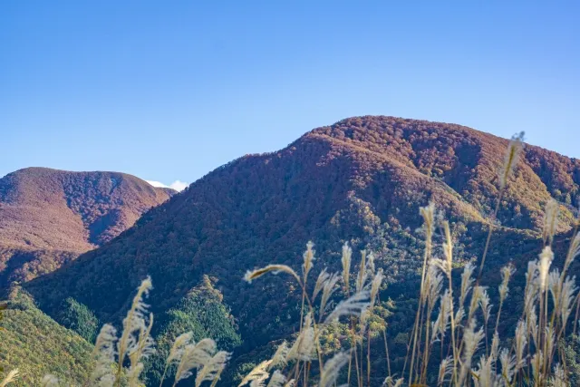 天童高原から望む面白山