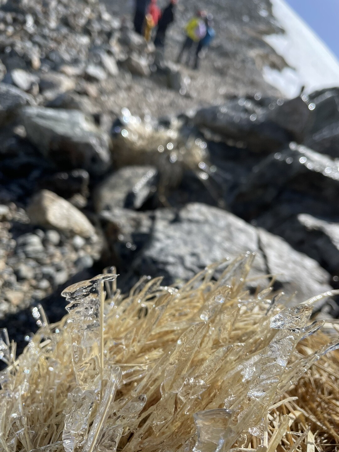 風が強く気温が低いので、凍っていました