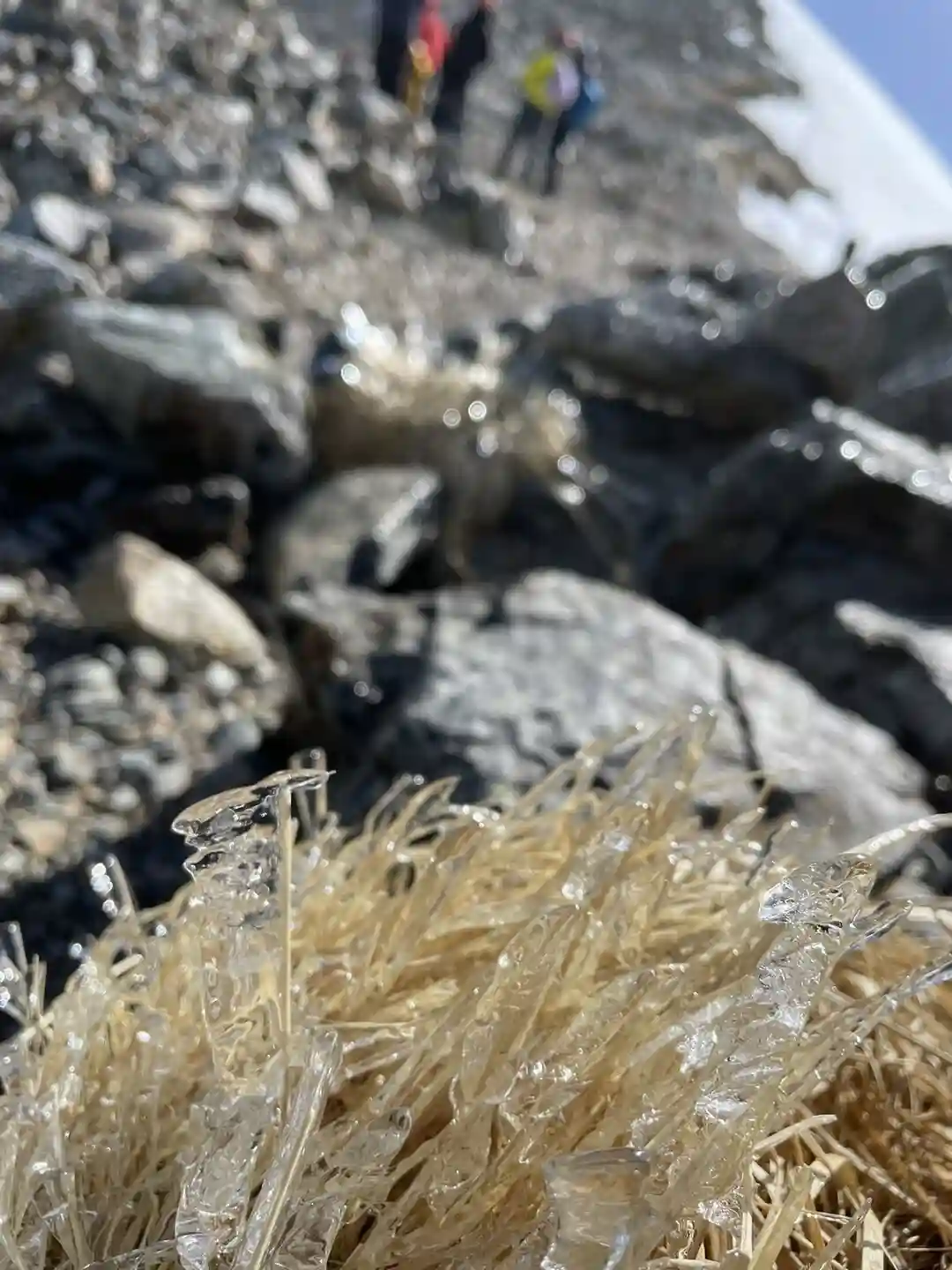 風が強く気温が低いので、凍っていました