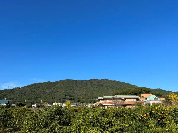 五井山全景