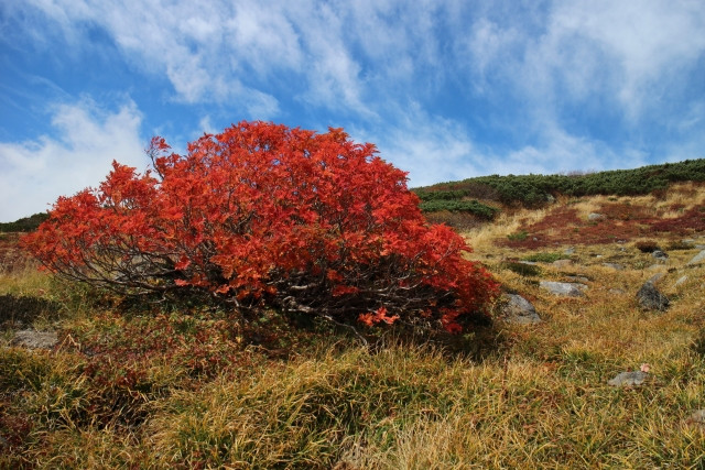 白山