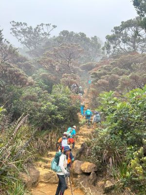 いよいキナバル登山スタート！階段が続きます…