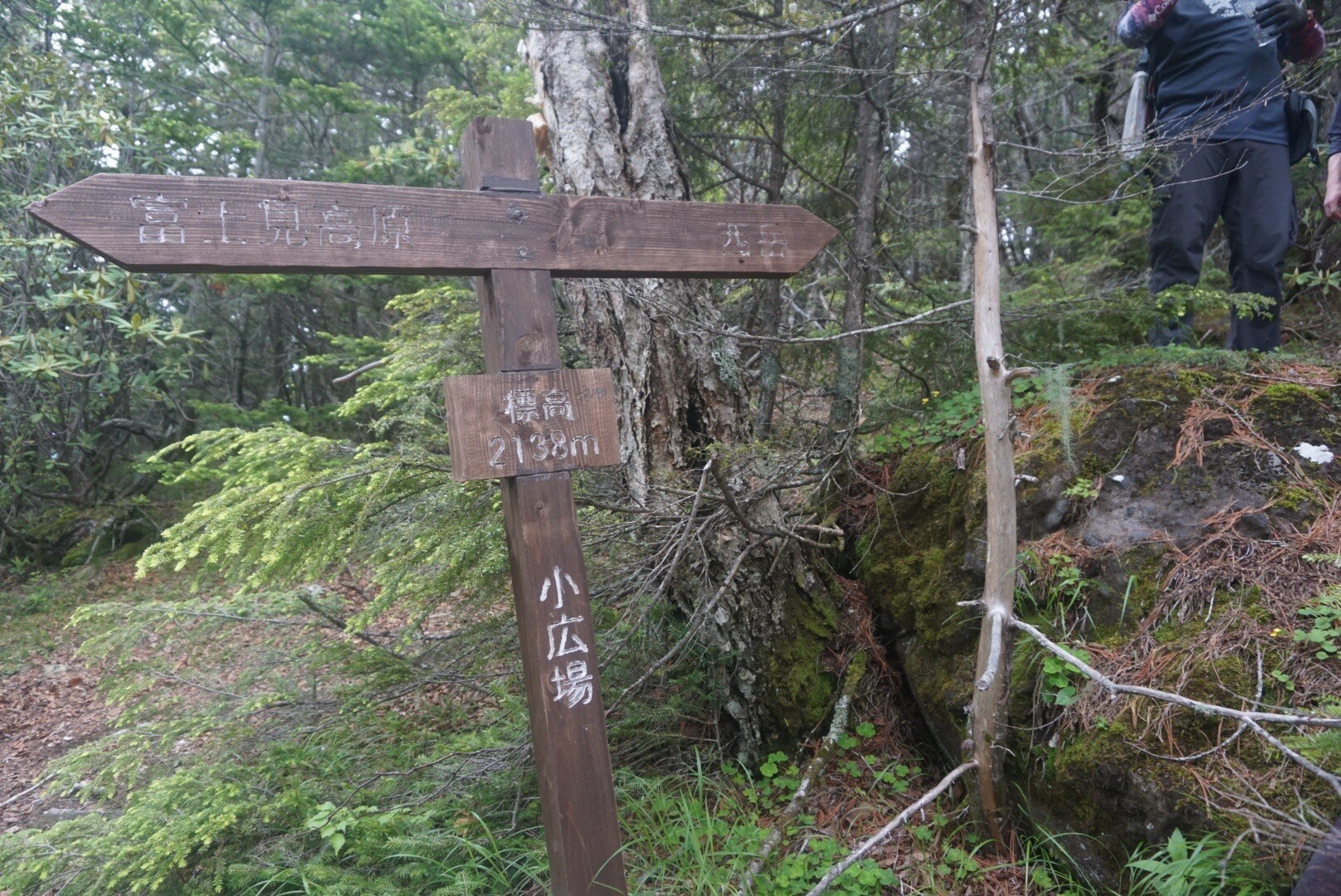 下山は富士見高原へ。