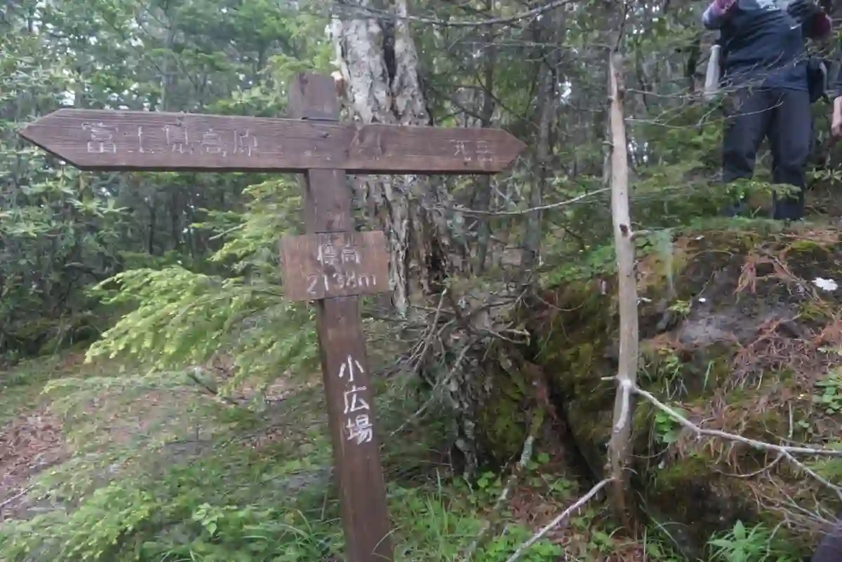 下山は富士見高原へ。