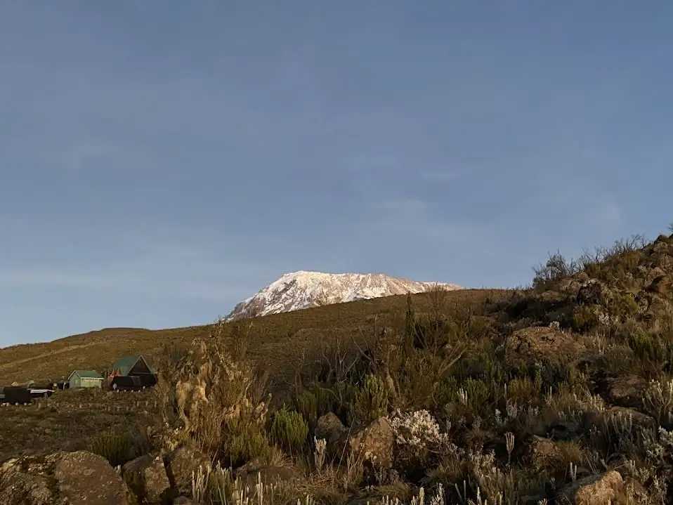 登山道からのキリマンジャロも見納めです