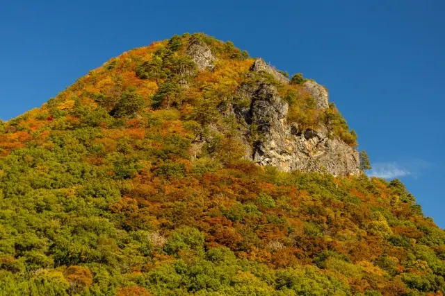 鎌倉山(ゴリラ山)