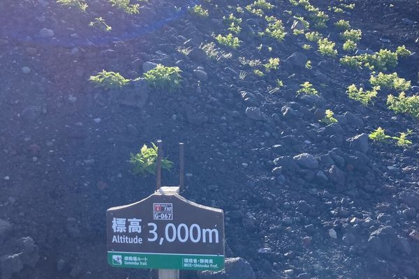 標高3,000m！