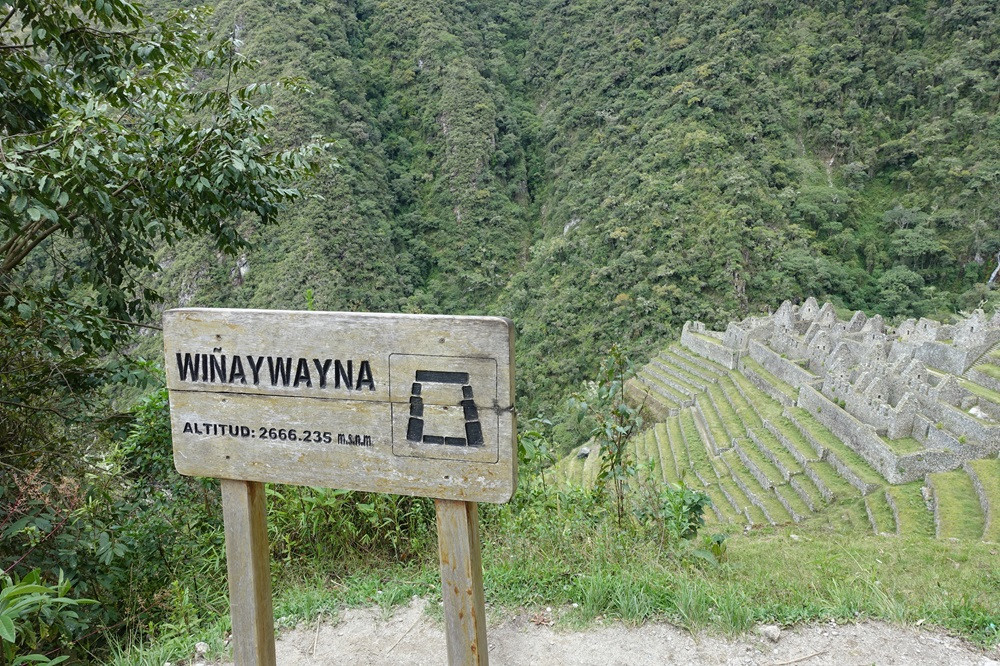 ウィニャイワイナ (Wiñay Wayna)遺跡を登りきり