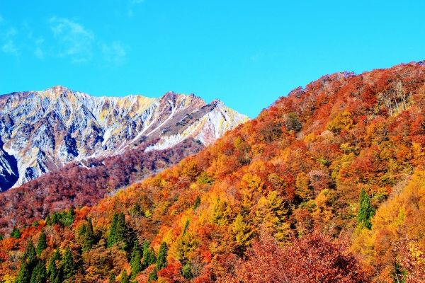 伯耆大山