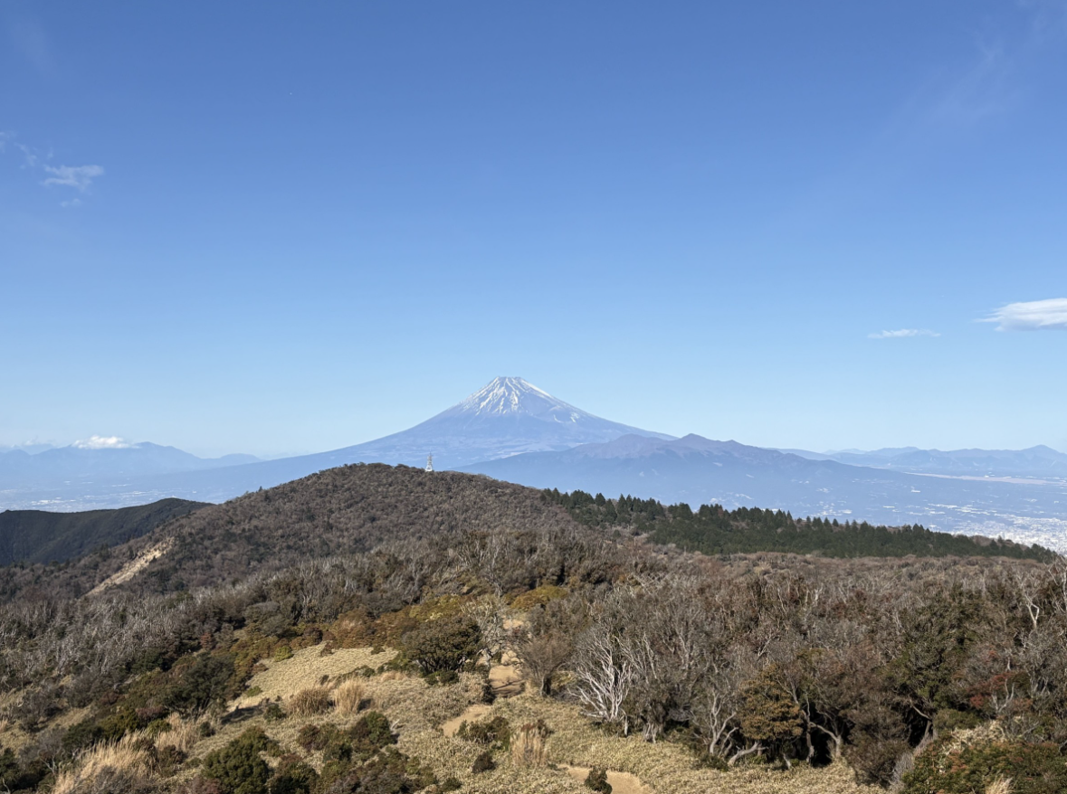 伊豆からの富士山